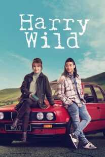 سریال Harry Wild