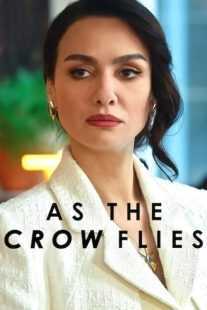 سریال As the Crow Flies