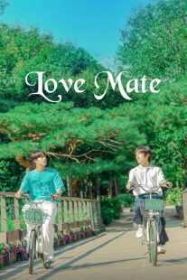 سریال کره‌ای Love Mate