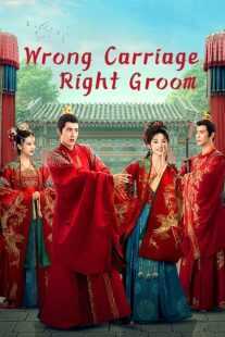 سریال Wrong Carriage Right Groom