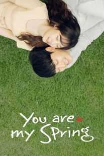 سریال کره ای You Are My Spring
