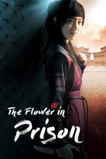 سریال کره‌ای The Flower in Prison