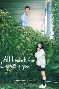 سریال All I Want for Love Is You