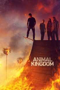 سریال Animal Kingdom