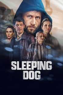 سریال Sleeping Dog
