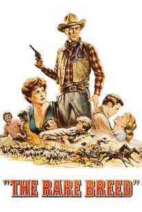 فیلم The Rare Breed 1966