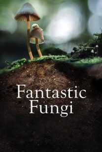 مستند Fantastic Fungi 2019