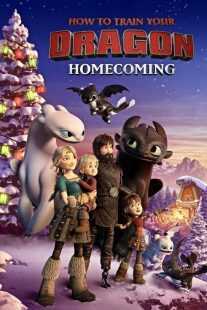 انیمیشن How to Train Your Dragon: Homecoming 2019
