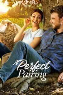 فیلم A Perfect Pairing 2022