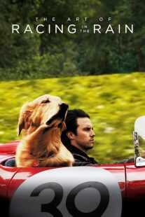فیلم The Art of Racing in the Rain 2019