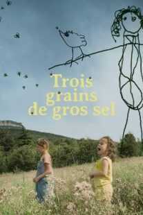 فیلم کوتاه Three Grains of Coarse Salt (Trois grains de gros sel) 2022