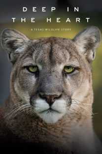 مستند Deep in the Heart: A Texas Wildlife Story 2022