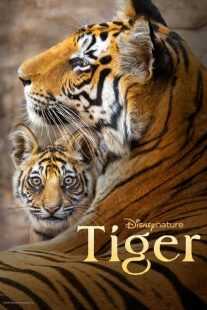مستند Tiger 2024