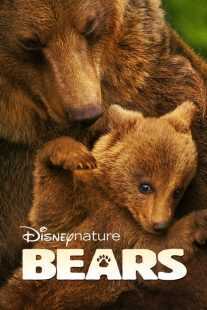 مستند Bears 2014