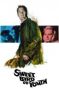 فیلم Sweet Bird of Youth 1962