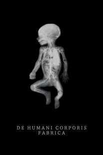 فیلم The Fabric of the Human Body 2022
