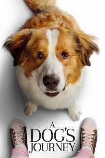 فیلم هندی A Dog’s Journey 2019