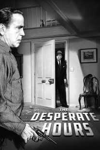 فیلم The Desperate Hours 1955