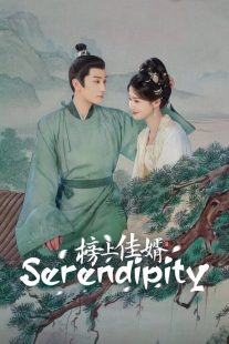 سریال Serendipity