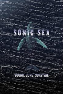 مستند Sonic Sea 2016