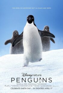 فیلم Penguins 2019
